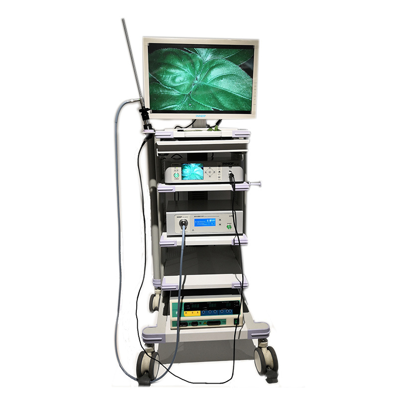 doctor-image